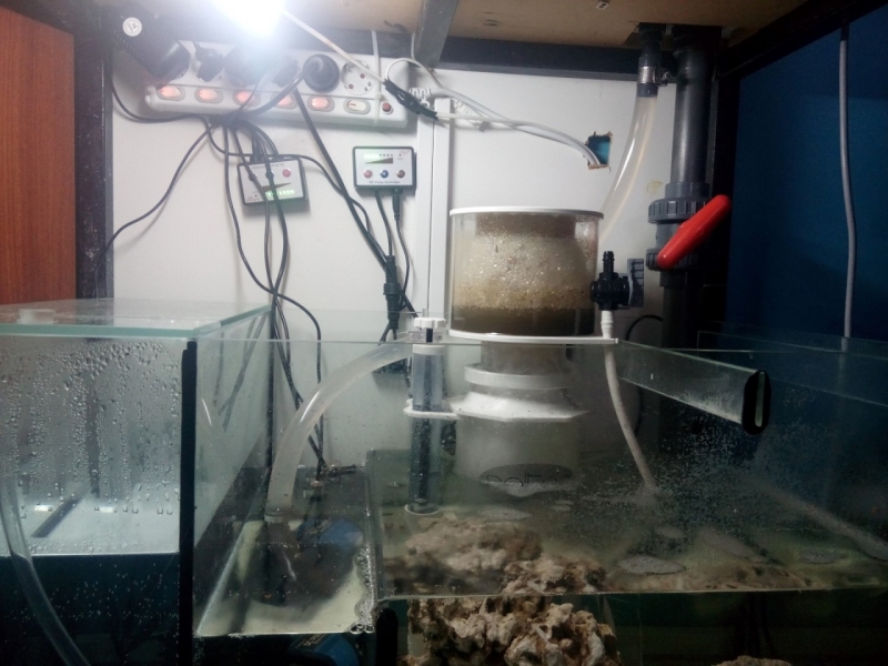 IMG 20151206 123232 (Large)