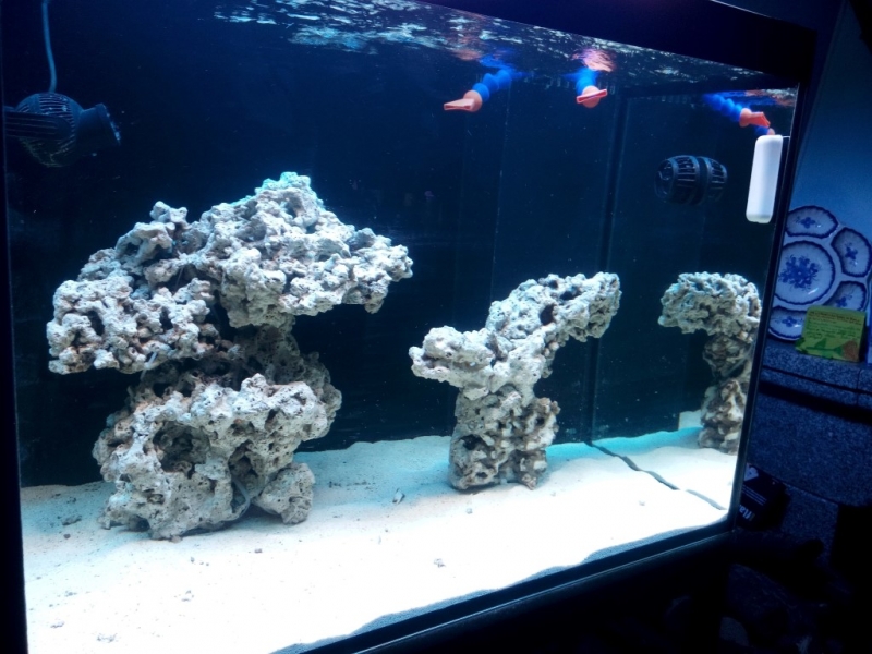 IMG 20151211 141145 (Medium)