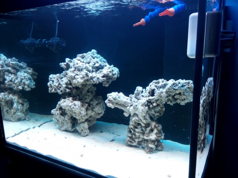 IMG 20151211 141209 (Medium)