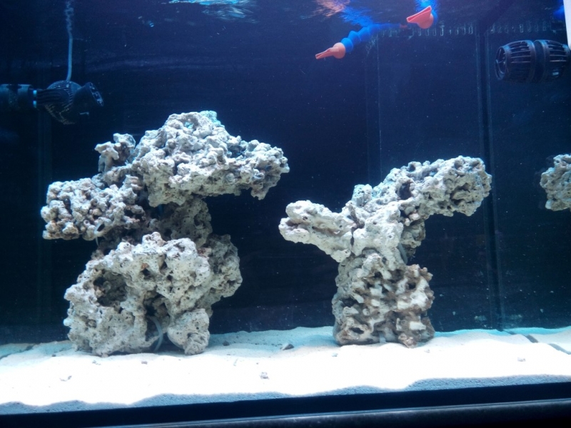 IMG 20151211 141224 (Medium)