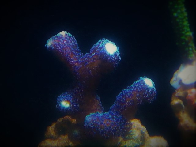 IMG 20160611 220442 (Small) (2)