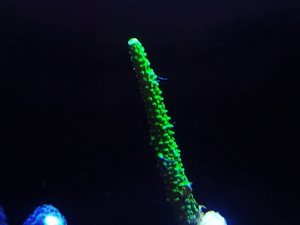 IMG 20160611 220458 (Small) (2)