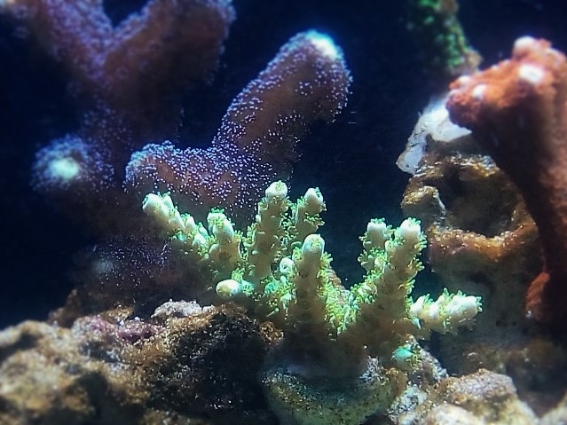 IMG 20160611 220540 (Small) (2)