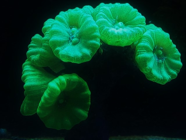 IMG 20160611 220610 (Small) (2)