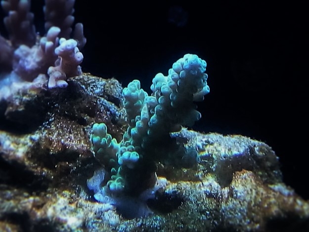 IMG 20160611 220731 (Small) (2)