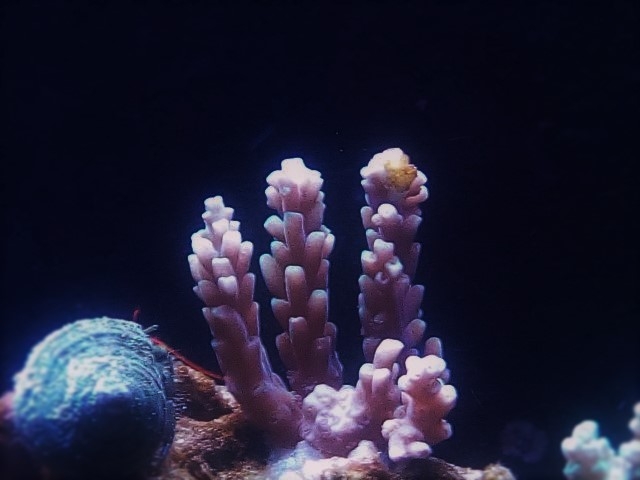 IMG 20160611 220807 (Small) (2)