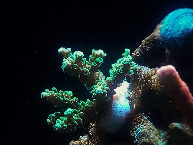 IMG 20160611 220836 (Small) (2)