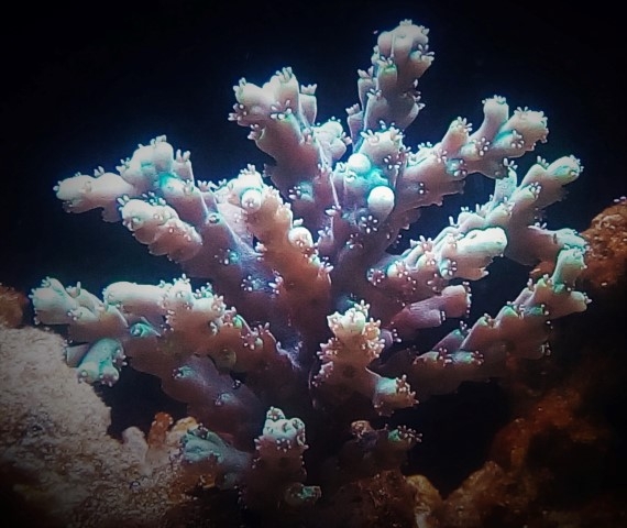 IMG 20160611 220850 (3) (Small)