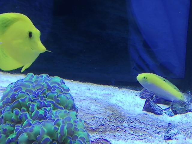 IMG 20160630 183449 (Small)