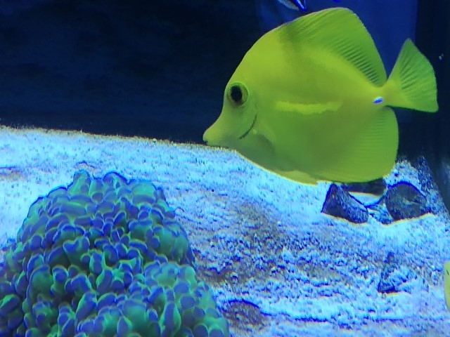 IMG 20160630 183555 (Small)