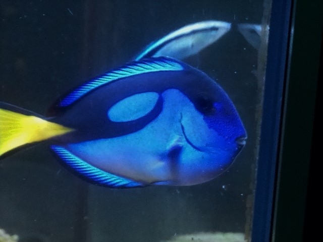 IMG 20150831 201724 %28Small%29