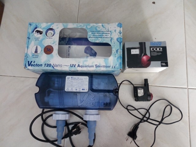 IMG 20160815 181418 (Small)