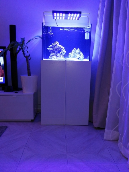 IMG 20161213 211727 Easy-Resize.com