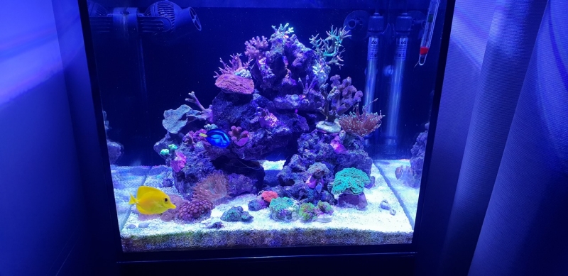 20181027 213159 Easy-Resize.com (1) - Cópia