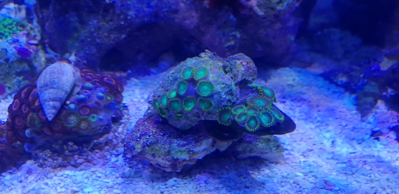 20181024 181101 Easy-Resize.com (1)