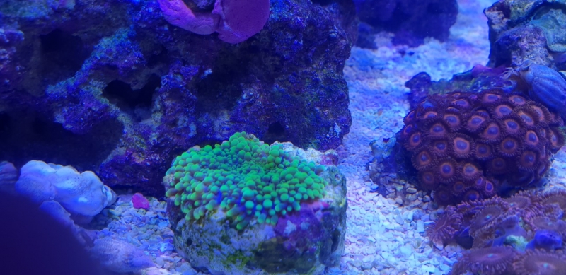 20181024 181127 Easy-Resize.com