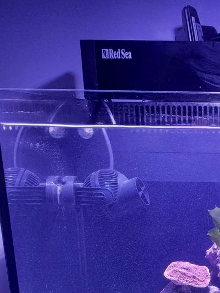 IMG 20181013 204222 Easy-Resize.com