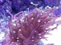 IMG 20181017 195552 Easy-Resize.com