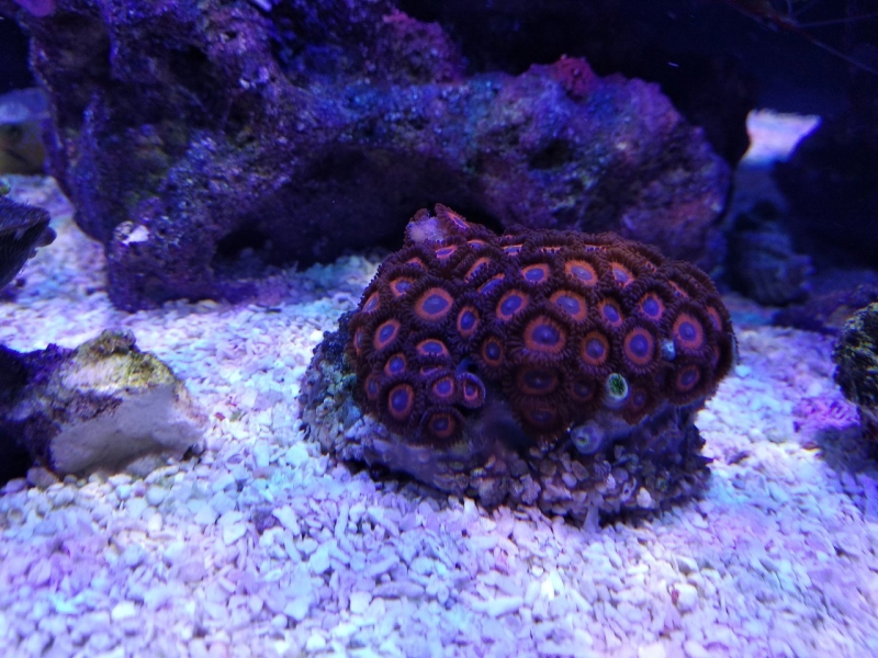 IMG 20181021 000234 Easy-Resize.com