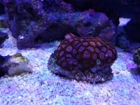 IMG 20181021 000234 Easy-Resize.com