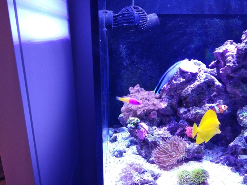 IMG 20181207 213904 Easy-Resize.com