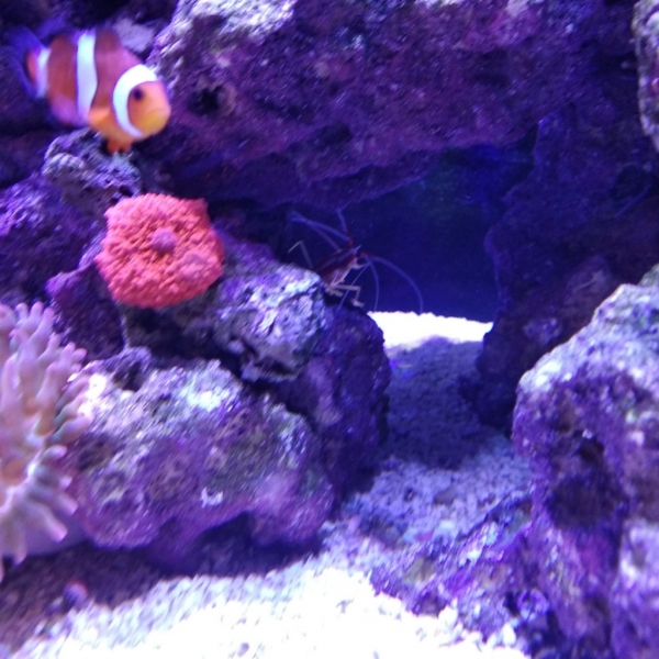 IMG 20181207 213946 Easy-Resize.com
