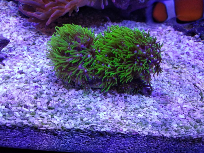 IMG 20181207 214240 Easy-Resize.com