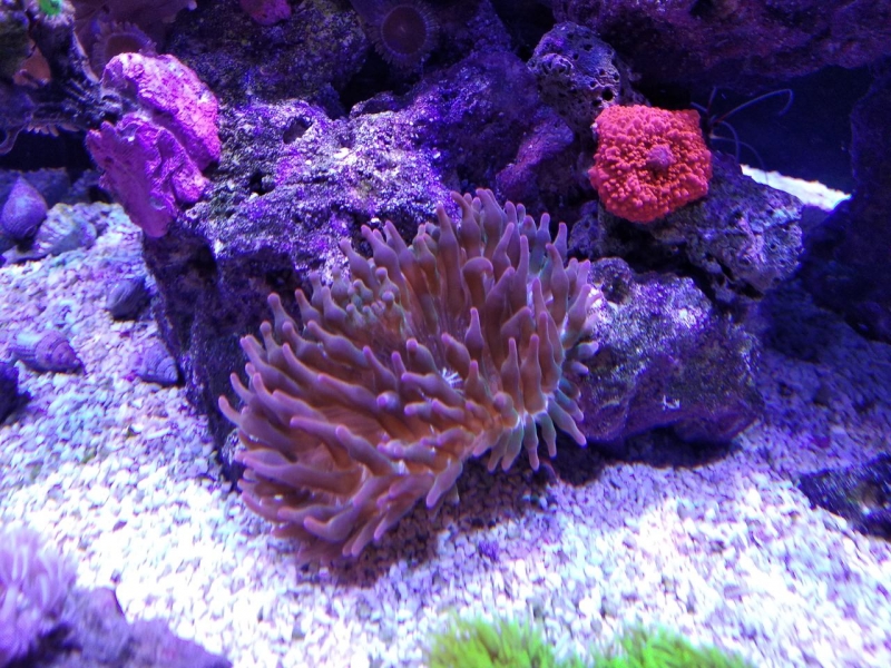IMG 20181207 214247 Easy-Resize.com