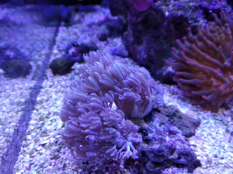 IMG 20181207 214256 Easy-Resize.com