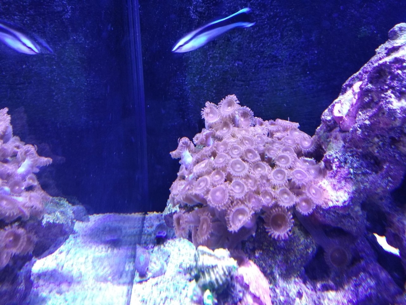 IMG 20181207 214300 Easy-Resize.com