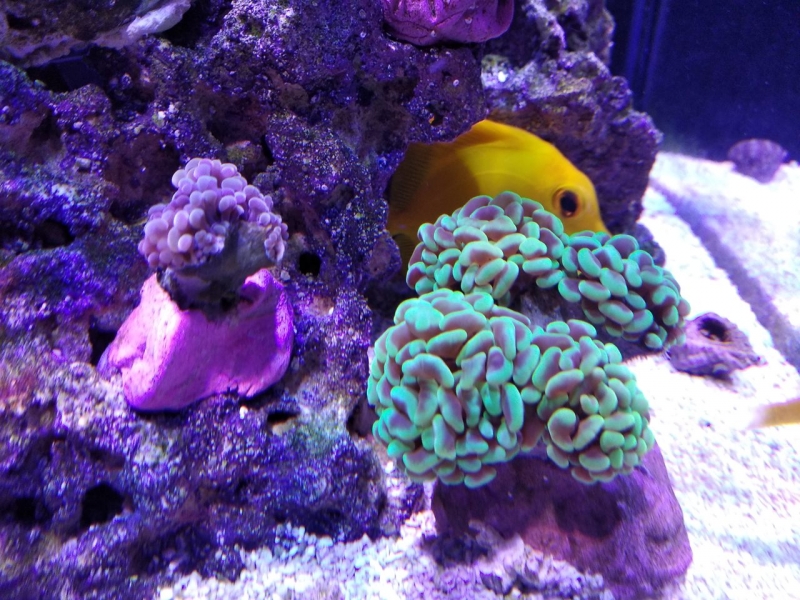 IMG 20181207 214309 Easy-Resize.com