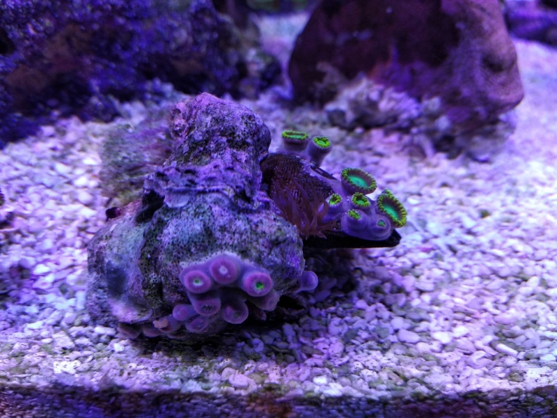 IMG 20181207 214335 Easy-Resize.com