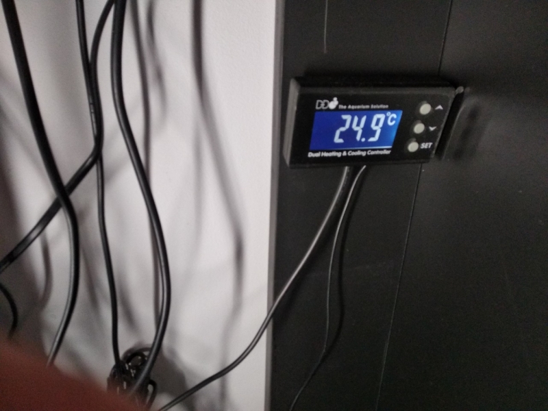 IMG 20181211 155346[1] Easy-Resize.com