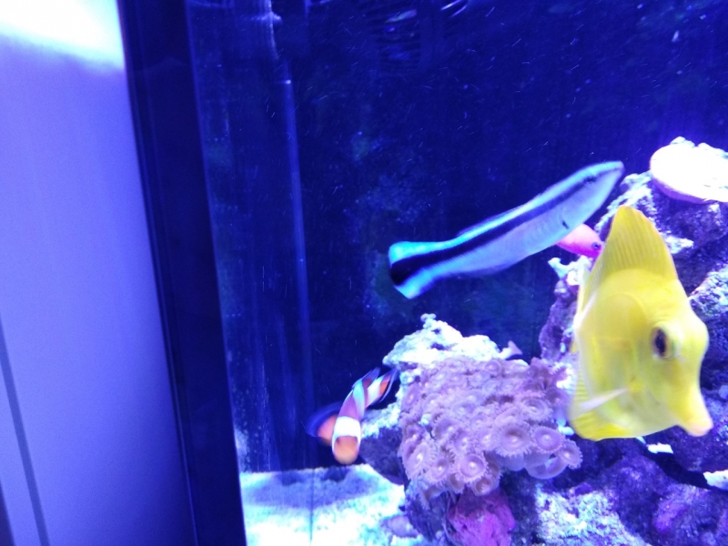 IMG 20181217 183003[1] Easy-Resize.com