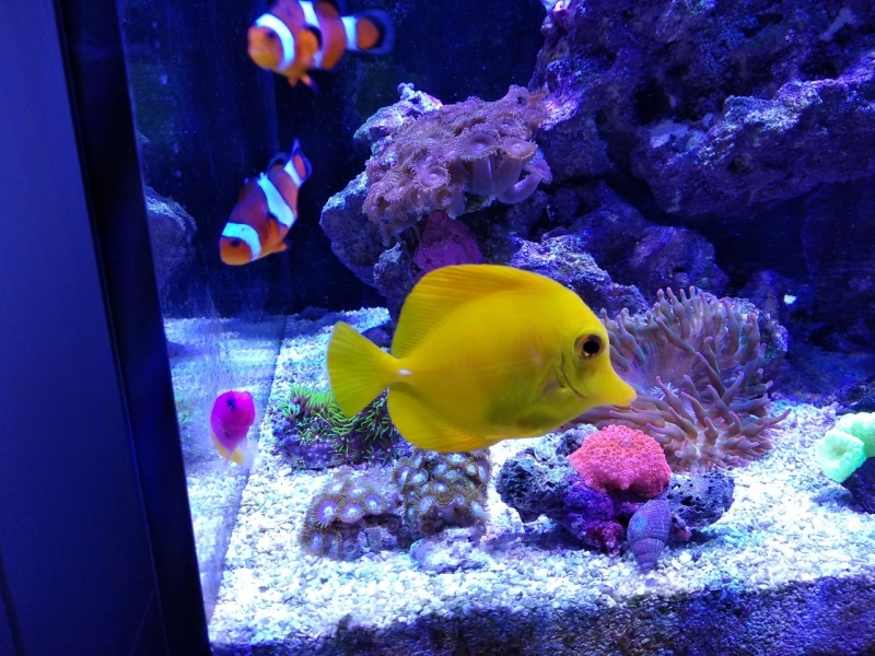 IMG 20181217 182948[1] Easy-Resize.com