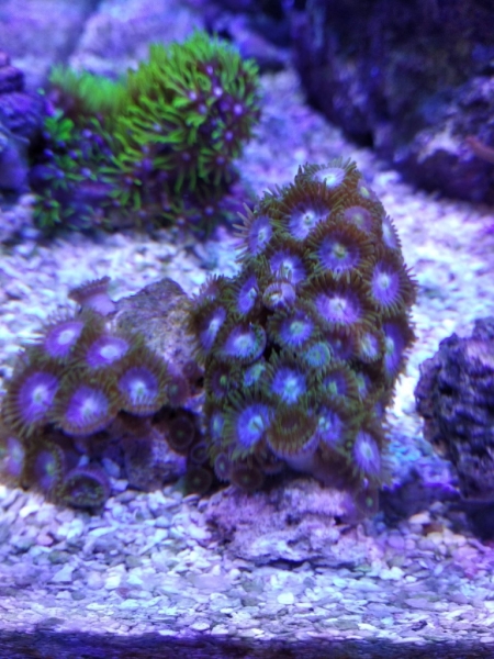 IMG 20181217 182612[1] Easy-Resize.com
