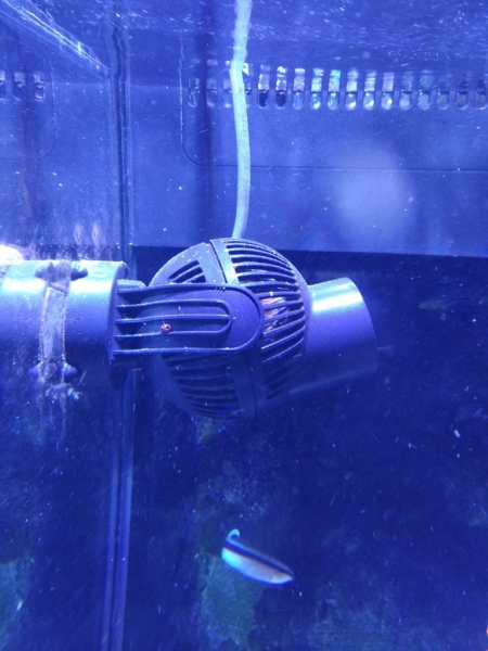 IMG 20181217 140544[1] Easy-Resize.com