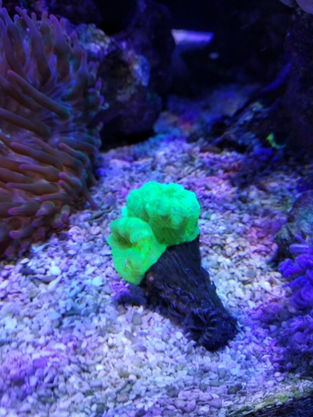 IMG 20181217 191431[1] Easy-Resize.com