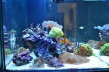 foto  5