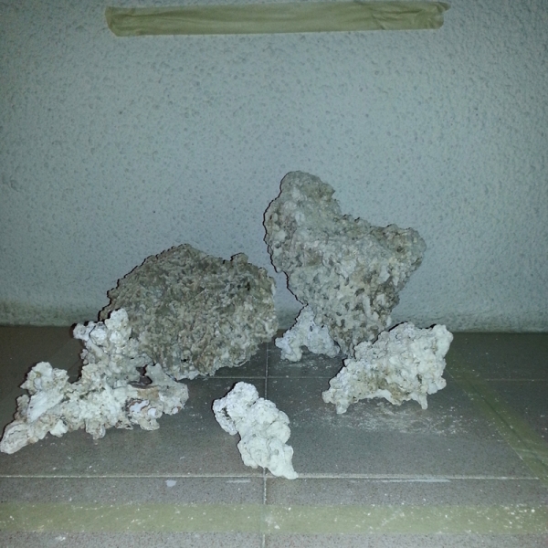 IMG 20140718 201846w