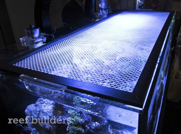 nuvo-shallow-reef-aquarium-3