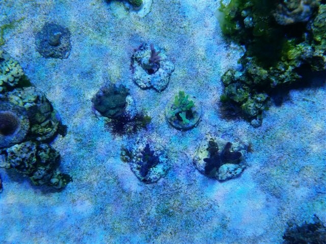2015-02-05 08.49.35