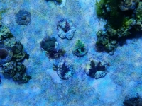 2015-02-05 08.49.35