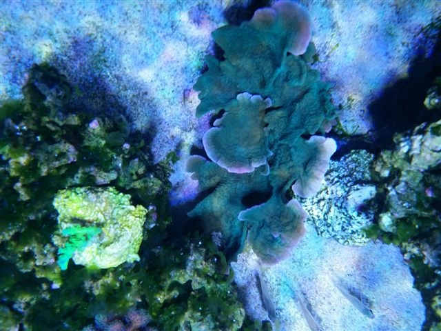2015-02-05 08.54.09