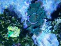 2015-02-05 08.54.09