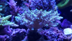 IMG-20160417-WA0032