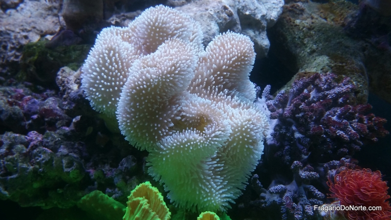 2015-02-09 19.35.28
