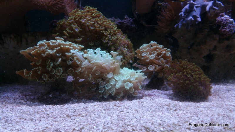 2015-02-09 19.35.41