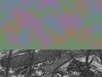 Amdtlzkl