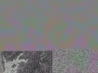 Svmtugcp